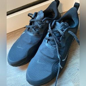 Nike Air Zoom Pegasus 37 Shield